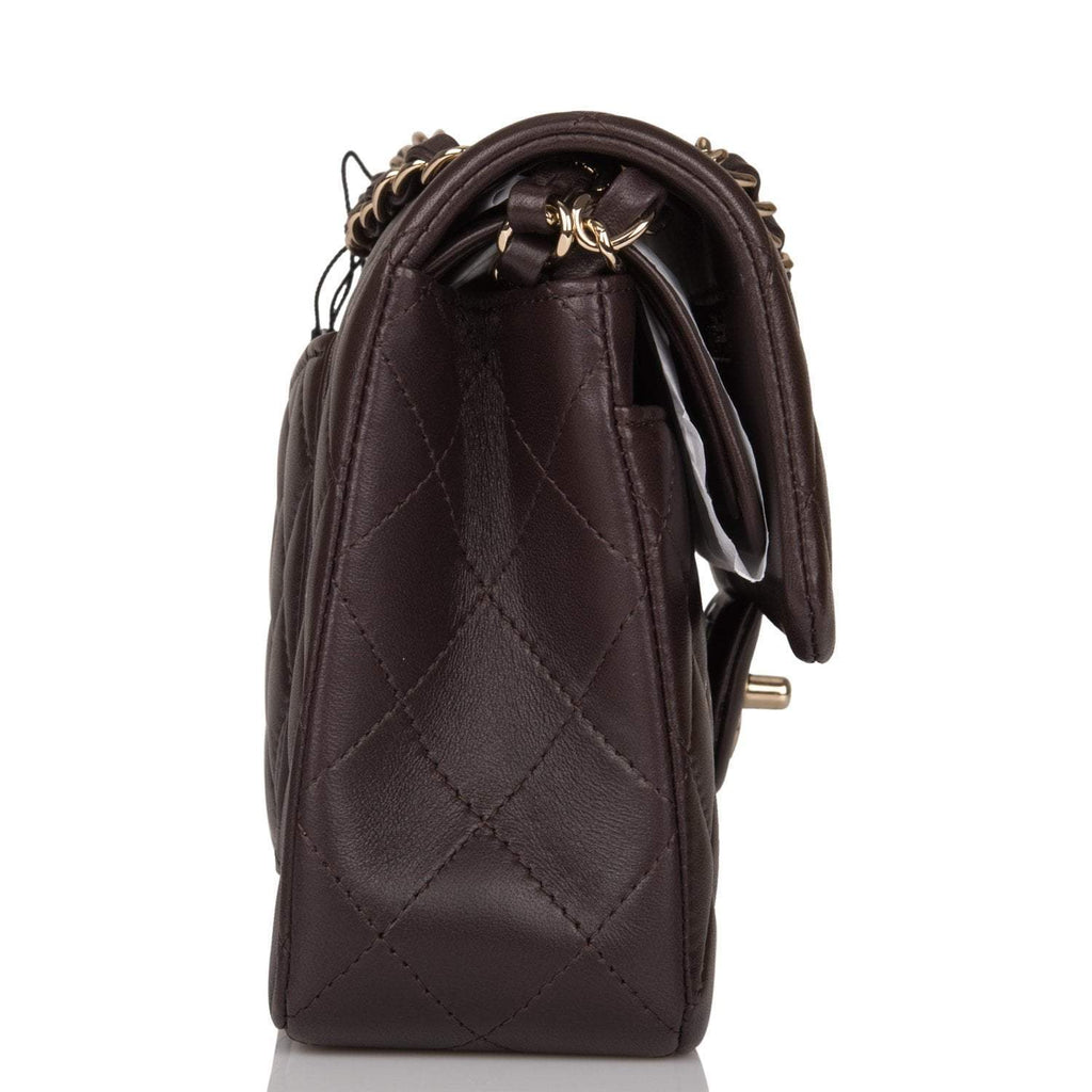 Chanel Small Classic Double Flap Bag Dark Brown Lambskin Light Gold Hardware