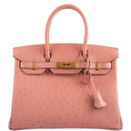 Hermes Birkin 30 Terre Cuite Ostrich Gold Hardware - 2020, Y - hardware detail