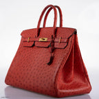 Hermes Birkin 40 Rouge Vif Ostrich with Gold Hardware - 1993, W Circle - hardware detail