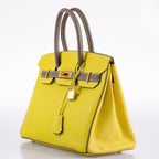Hermes HSS Birkin 30 Lime & Etoupe Chevre with Gold Hardware - 2013, Q Square - hardware detail