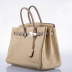 Hermes HSS Birkin 35 Parchemin & Etoupe Epsom with Palladium Hardware - 2010, N Square - hardware detail