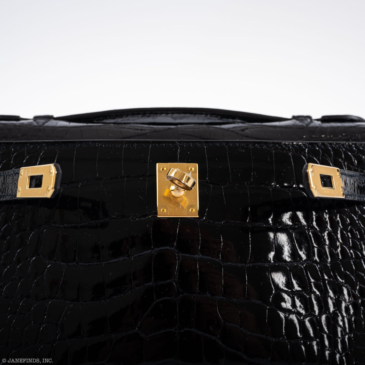 Black crocodile skin suitcase with gold hardware on a white background