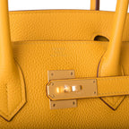 Hermes Birkin 30 Jaune Ambre Togo