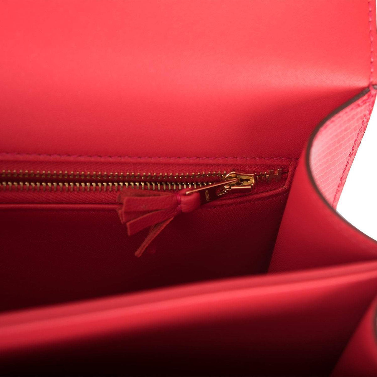 Grain texture close-up of Niloticus lizard leather on Hermes Constance