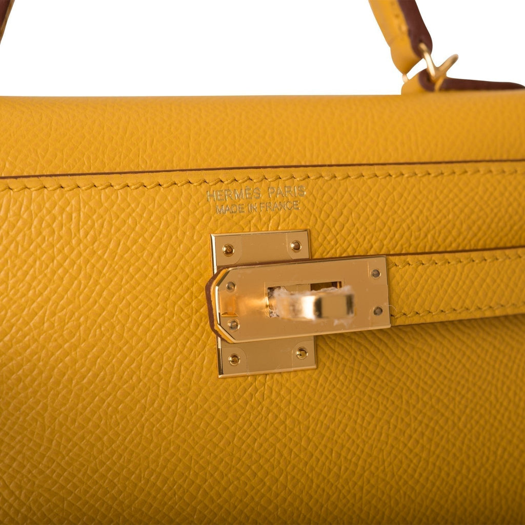 Image of the interior, showing the single open pocket on the back wall