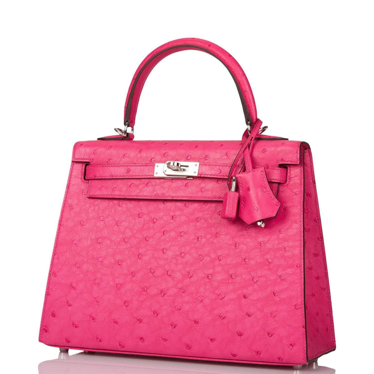 A detailed shot of the palladium-tone clochette and lock