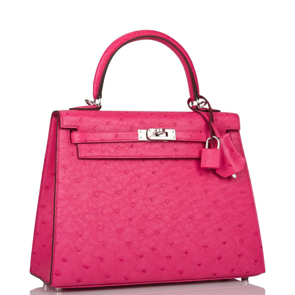 Close-up of the palladium-tone hardware and toggle closure on the Hermes Kelly 25