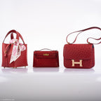 Hermes Kelly Mini Pochette Rouge Vif Ostrich Gold Hardware - 2017, A - product image 2