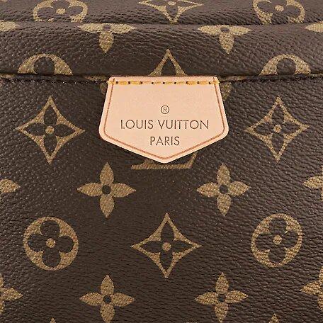 Louis Vuitton Bumbag Monogram